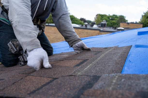 Fast & Reliable Emergency Roof Repairs in Dunlap, TN